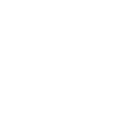 Beresterk demoshop